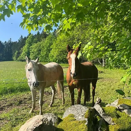 Tiny Des Sucs By Tiny Away Yssingeaux