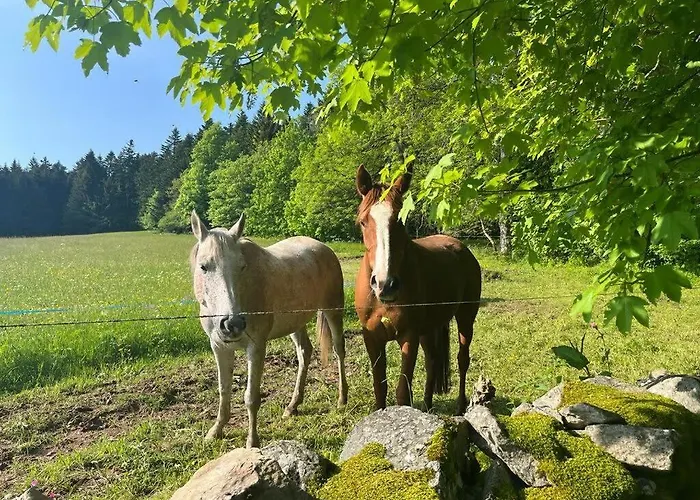 Tiny Des Sucs By Tiny Away Yssingeaux