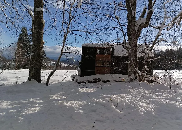 Tiny Des Sucs By Tiny Away *