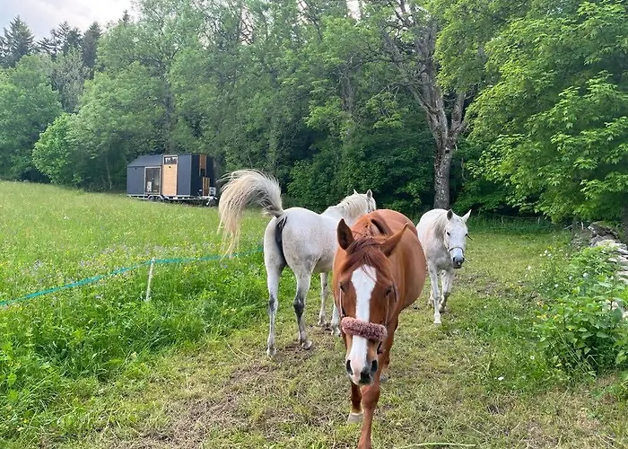 Tiny Des Sucs By Tiny Away Holiday home Yssingeaux